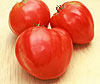Coeur de boeuf French tomato 20 seeds